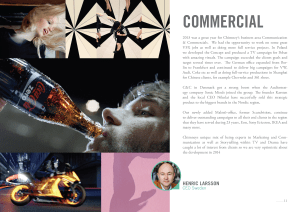 ChimneyAnnualReportDRUK_Page_13